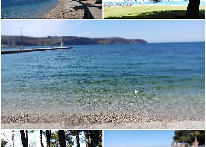 Apartmaji Sonce Daire *